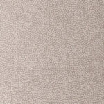 Light Grey | Pegasus