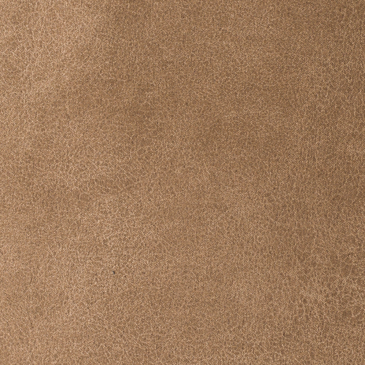 Camel | Cowboy