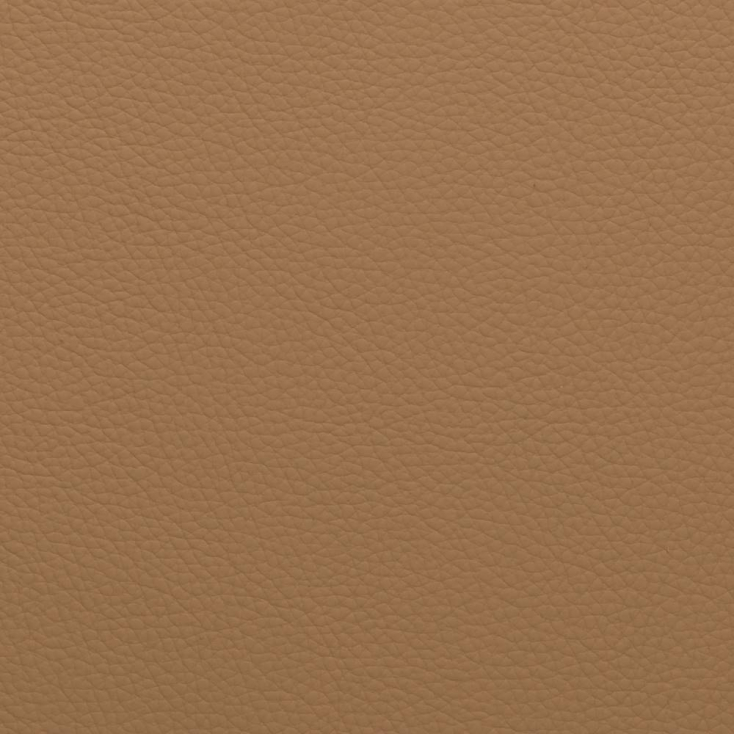 Camel | Monza Premium