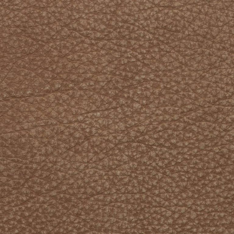 Terra