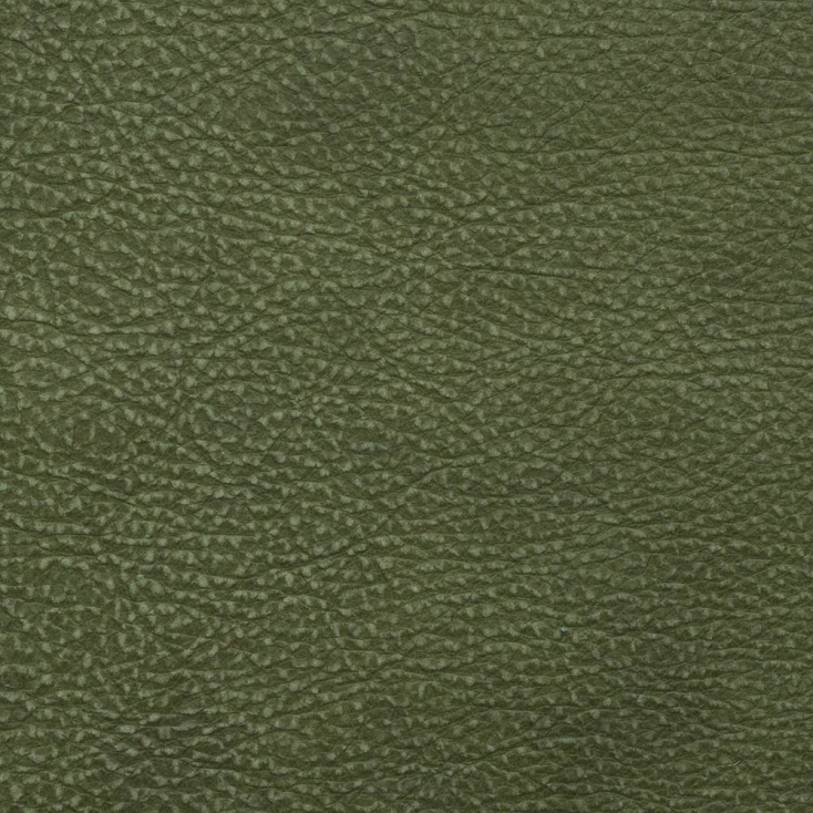 Moss | Kansas