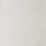 Snow | Fox