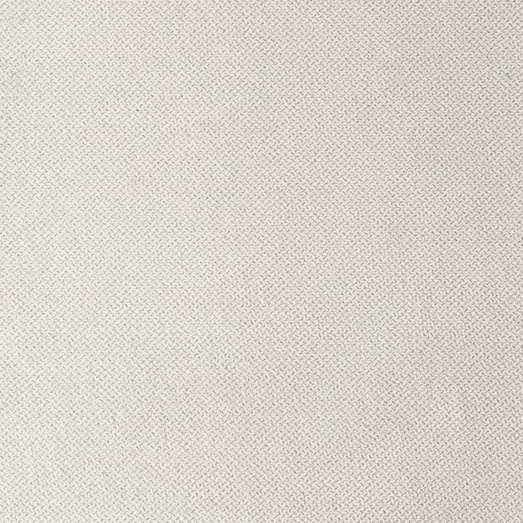Snow | Fox