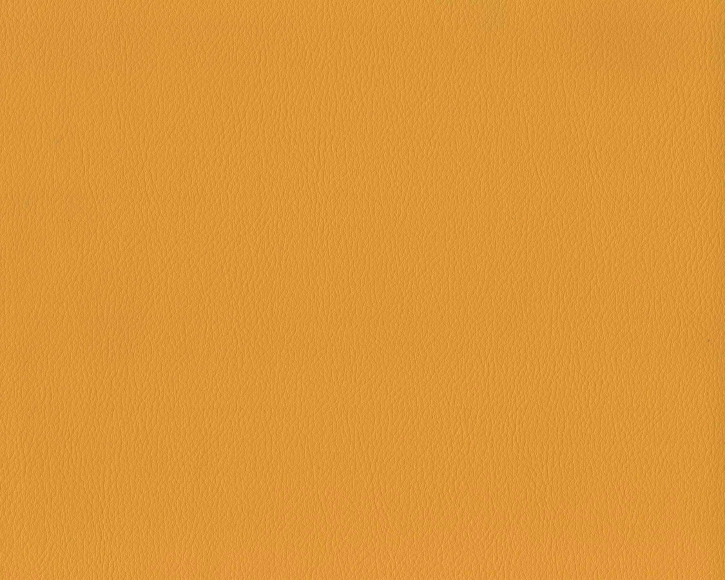 110 | Diana FR