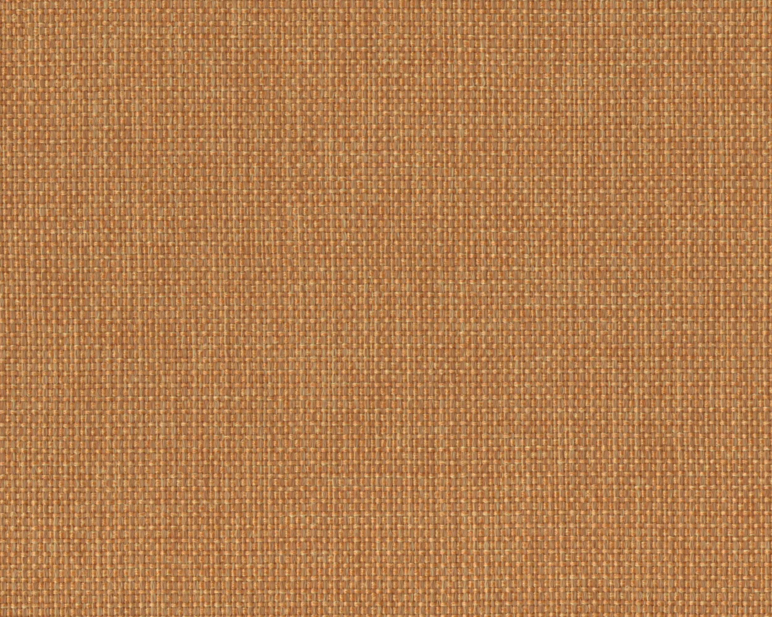 120 | Polo