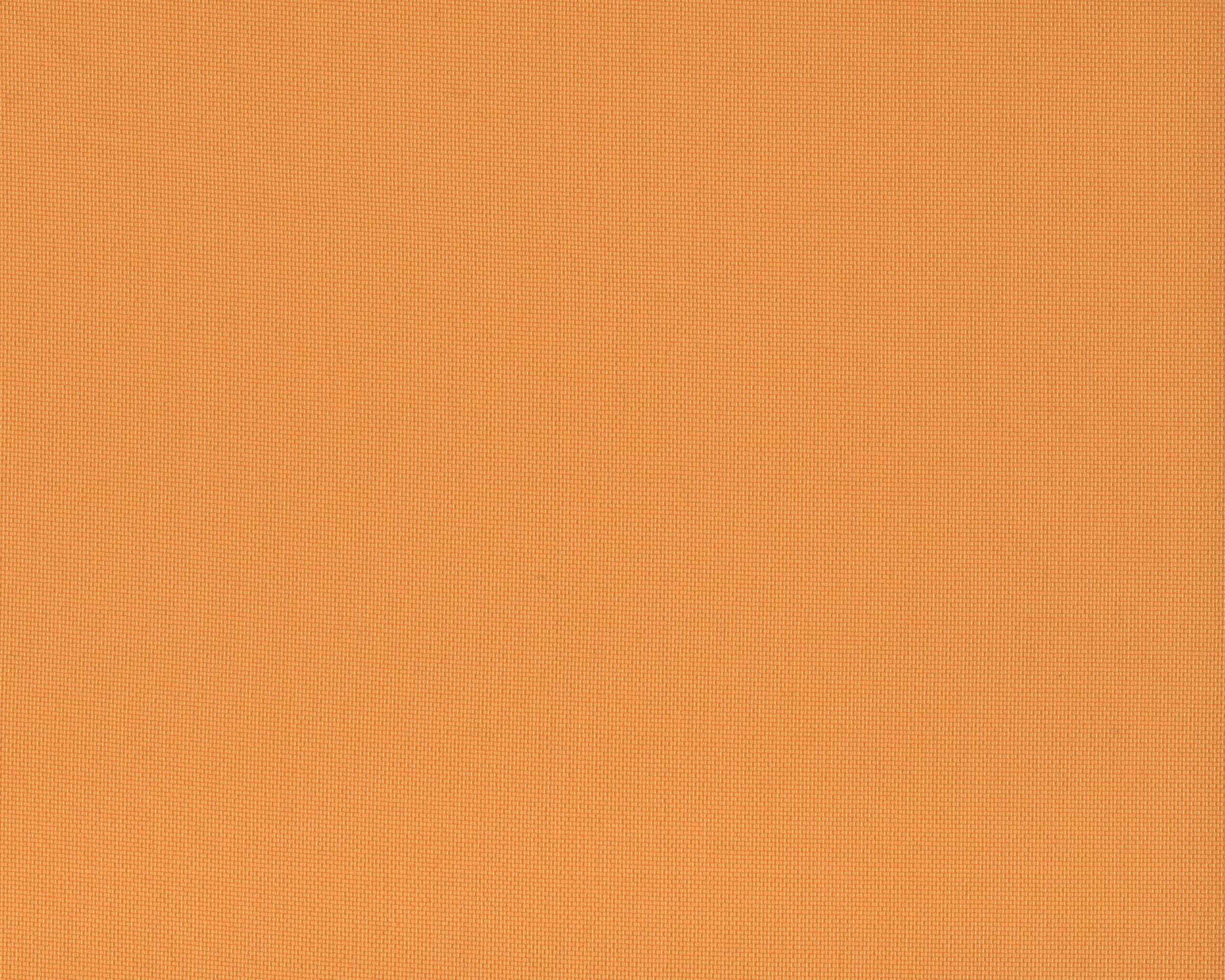 120 | Summer Plain
