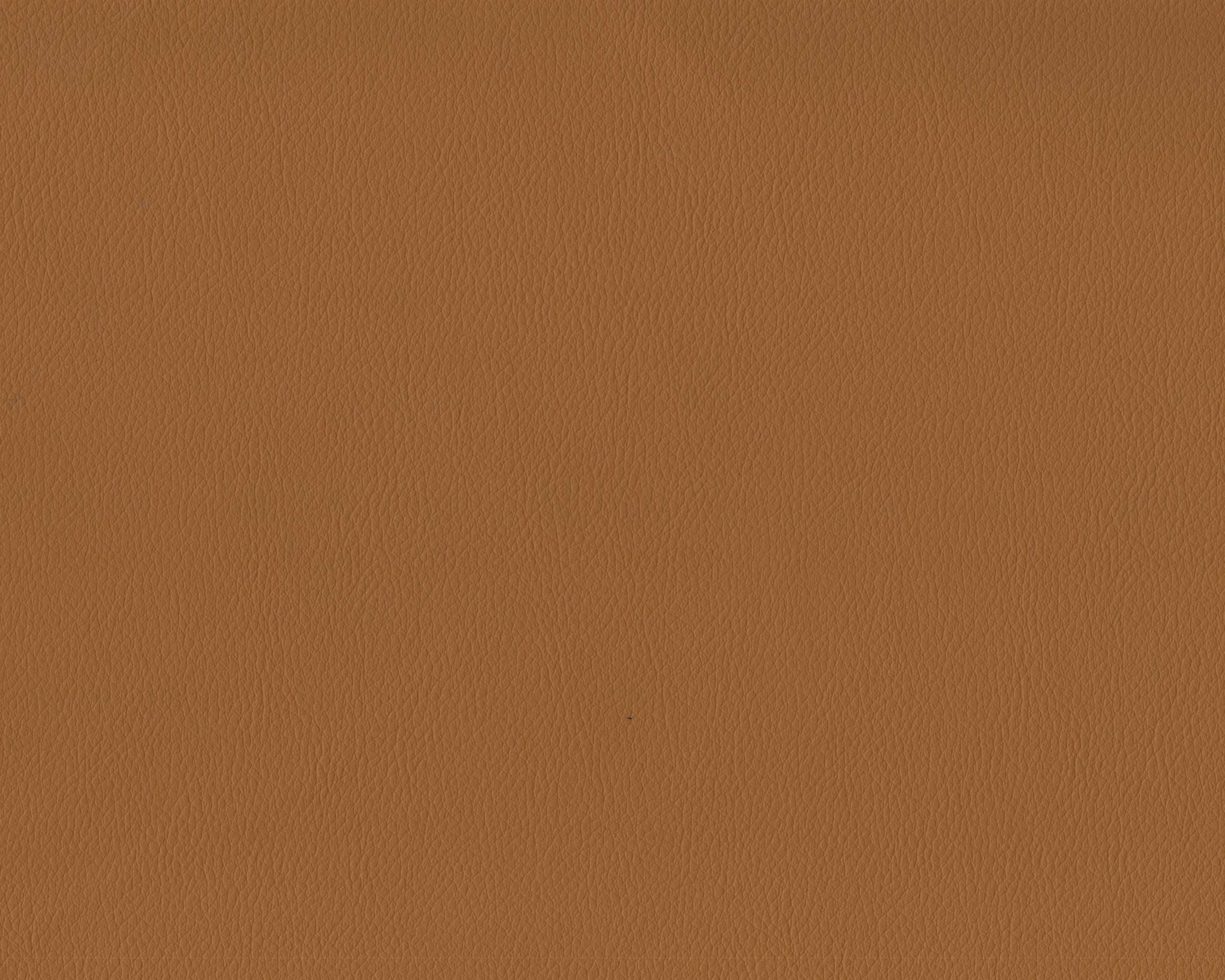 130 | Diana FR