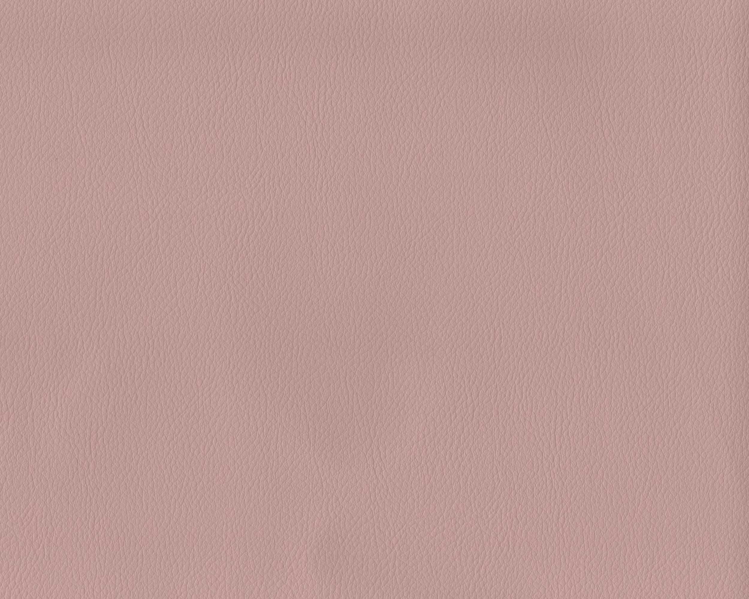 203 | Diana FR