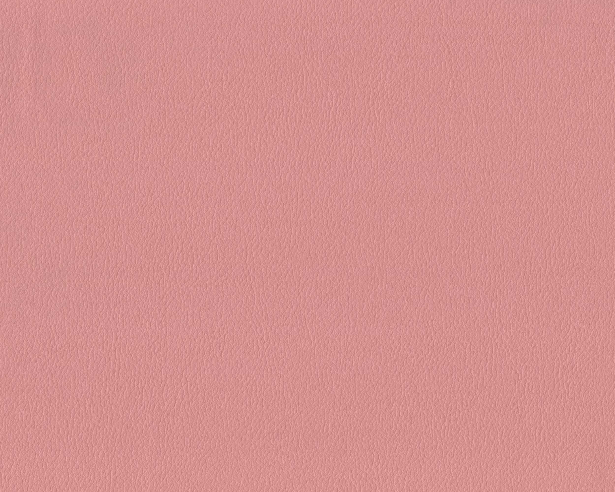210 | Diana FR