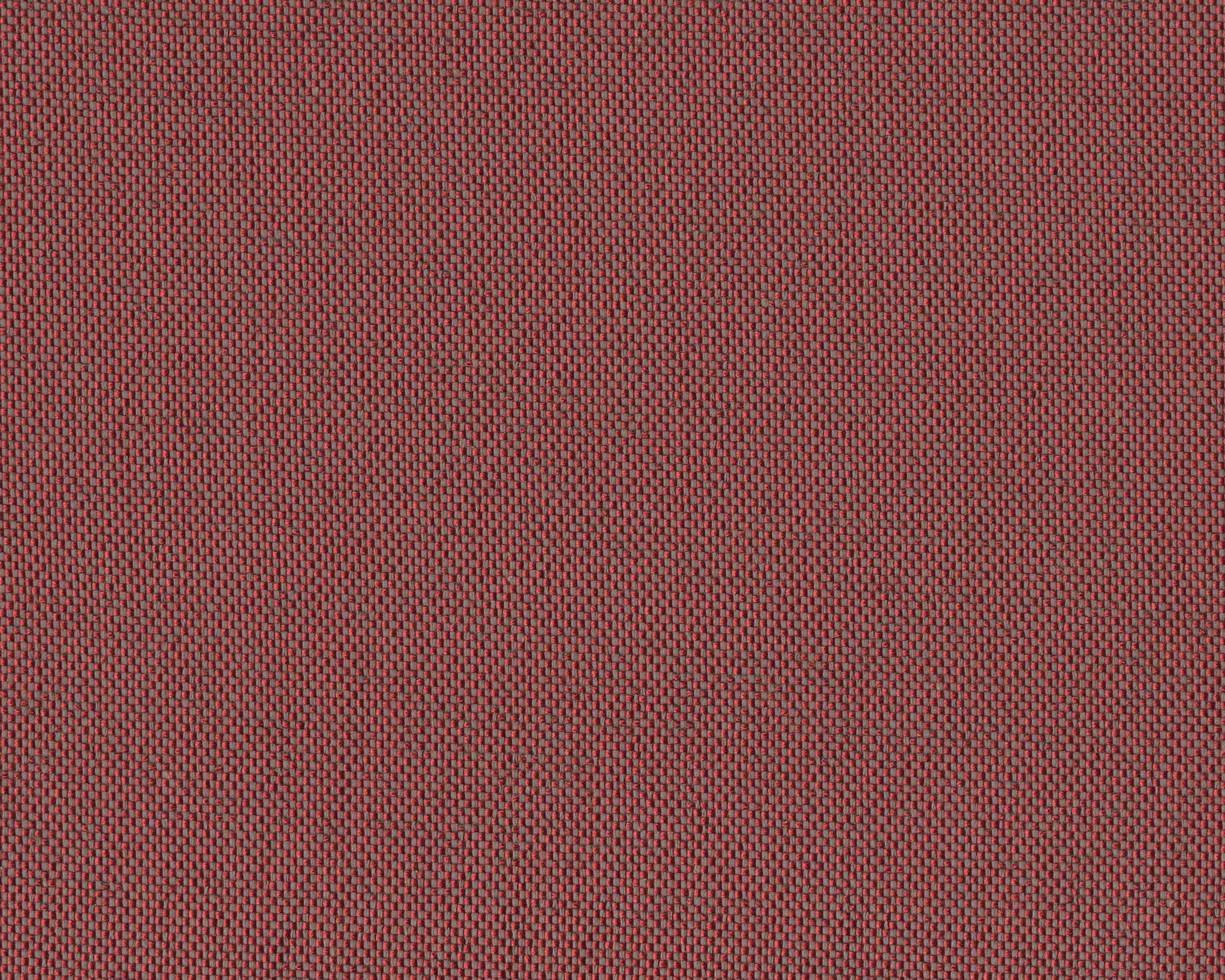 224 | Eva