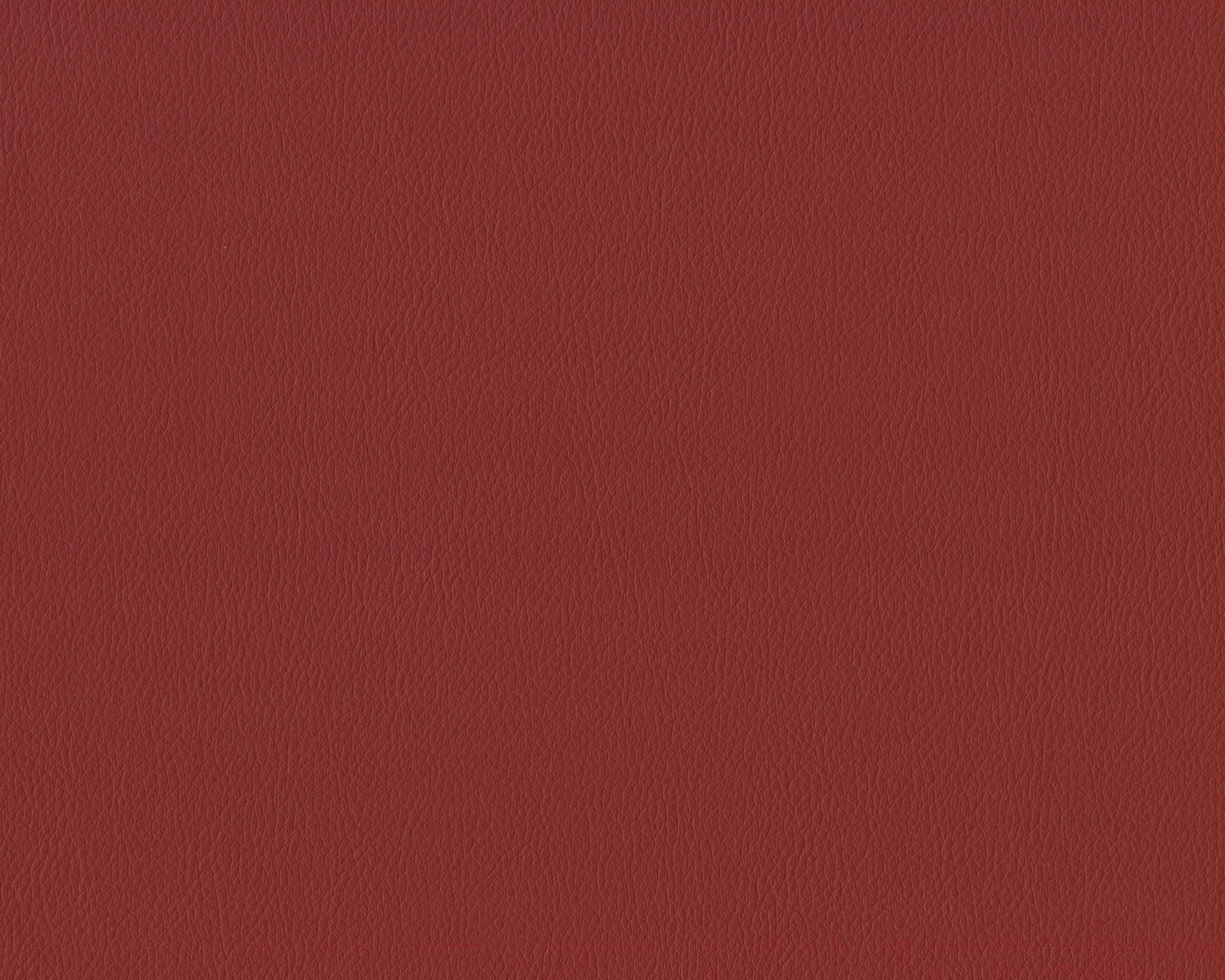 240 | Diana FR