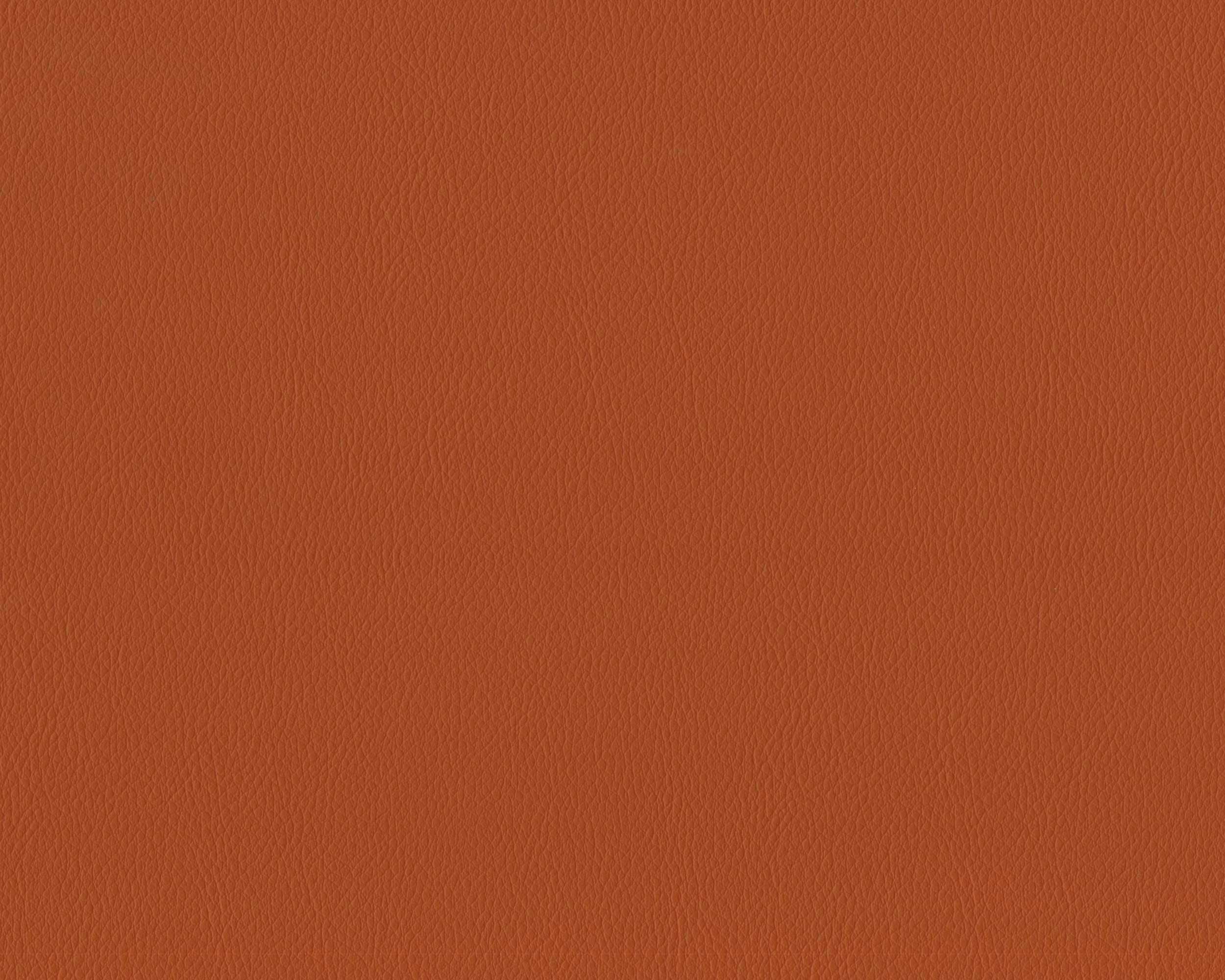 242 | Diana FR