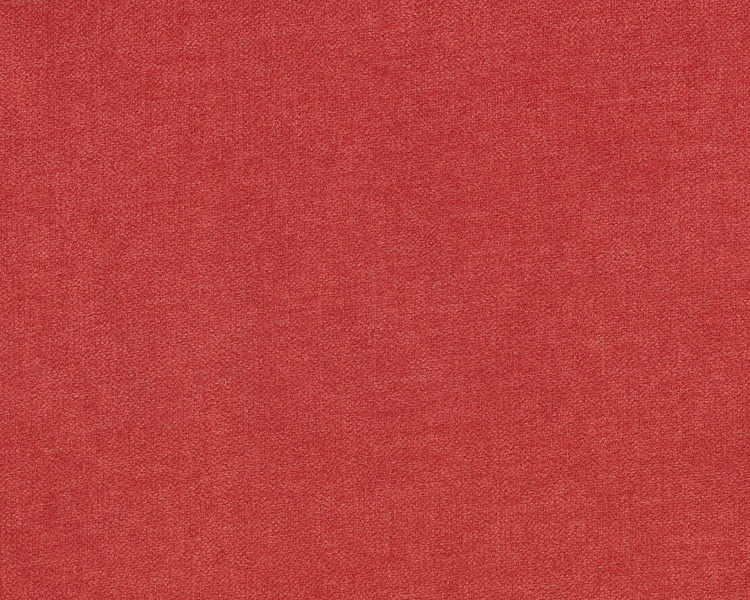 250 | Leidi FR