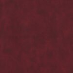 250 | Amazon FR