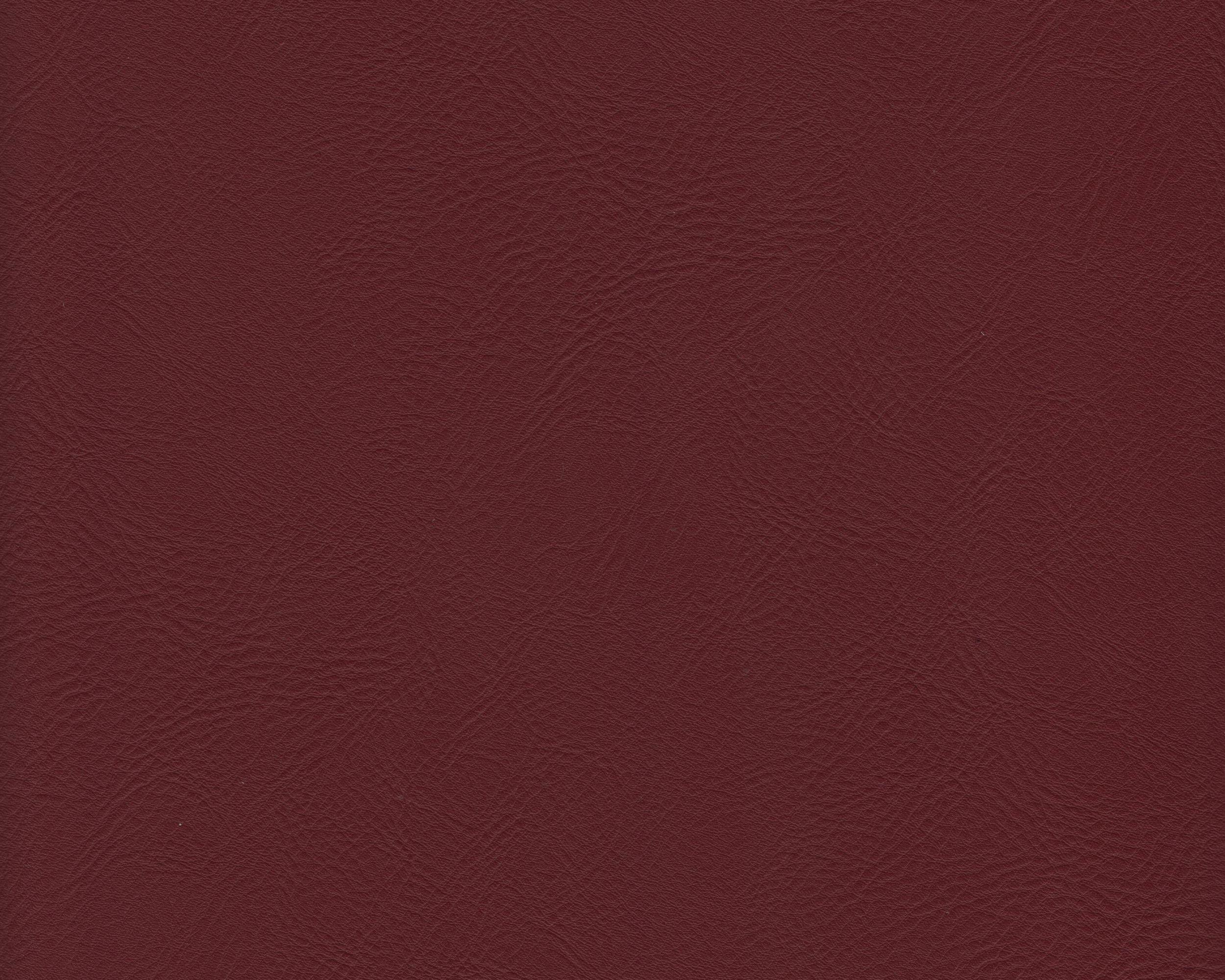 250 | Hector FR
