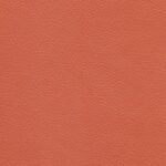 250 | Star FR