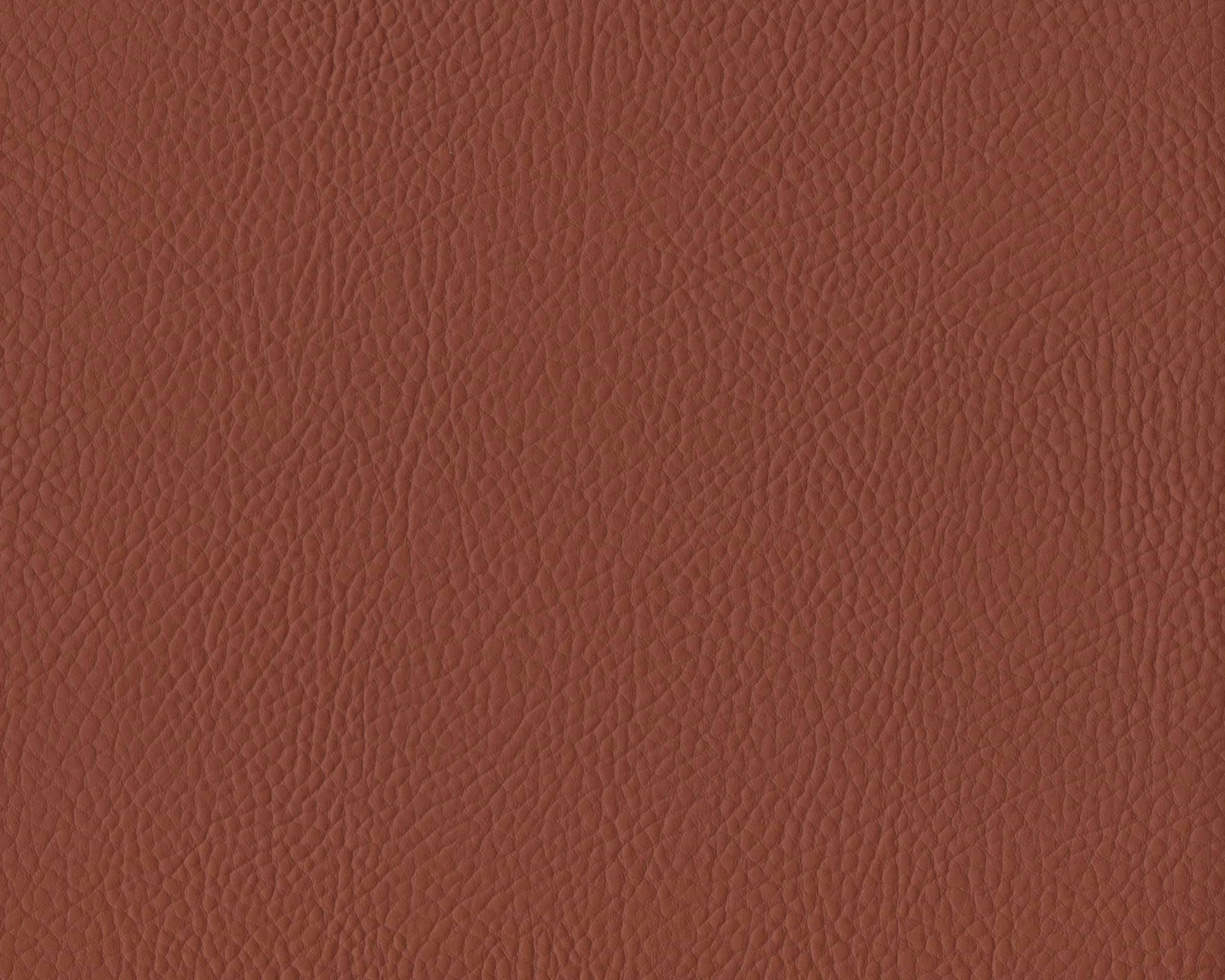 257 | Santa Glory