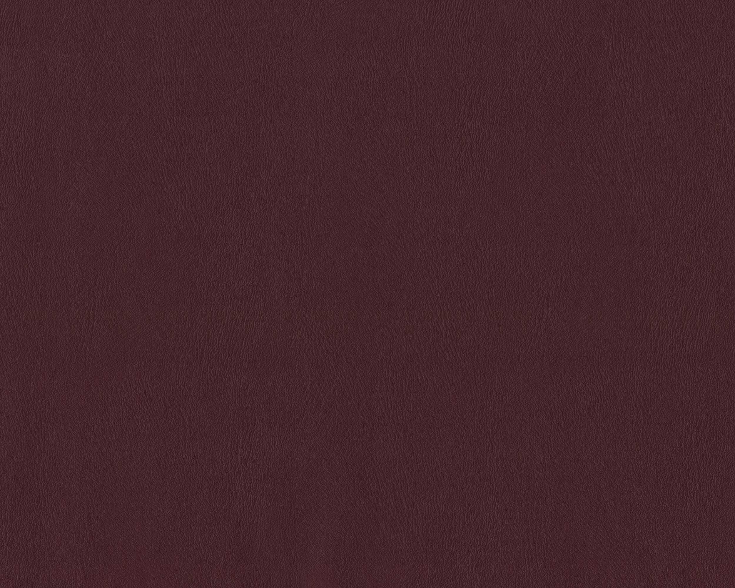 270 | Nona FR