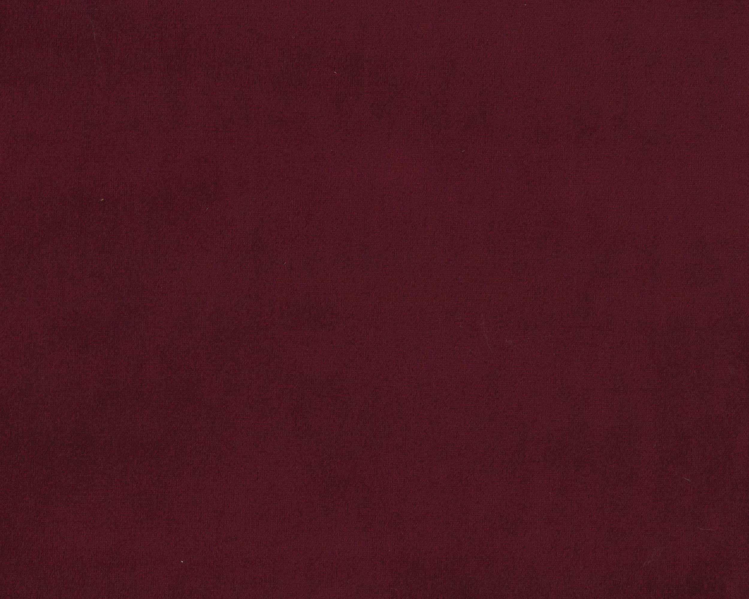 273 | Tiger