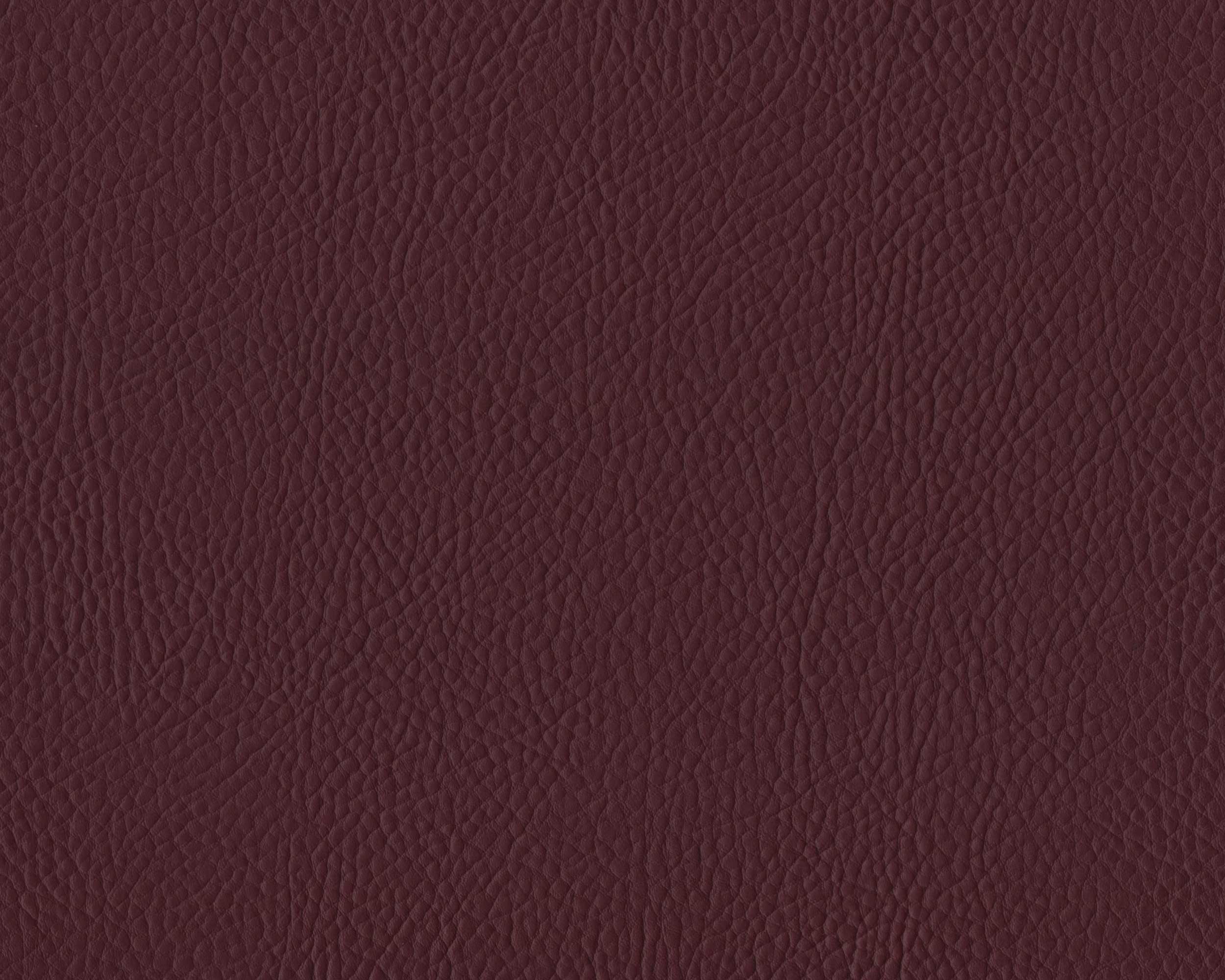275 | Santa Glory