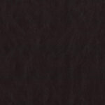 290 | Moderna FR
