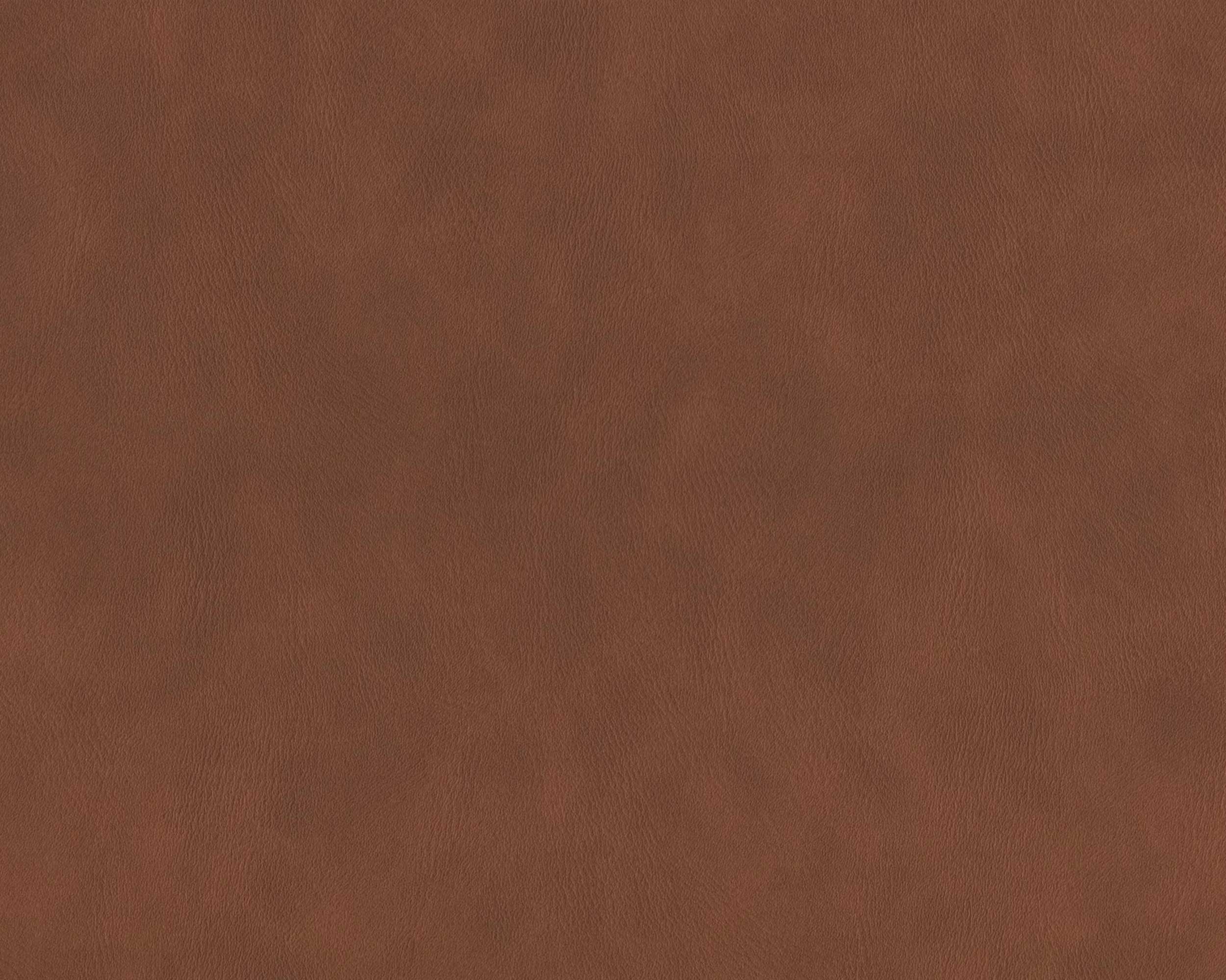 300 | Amazon FR