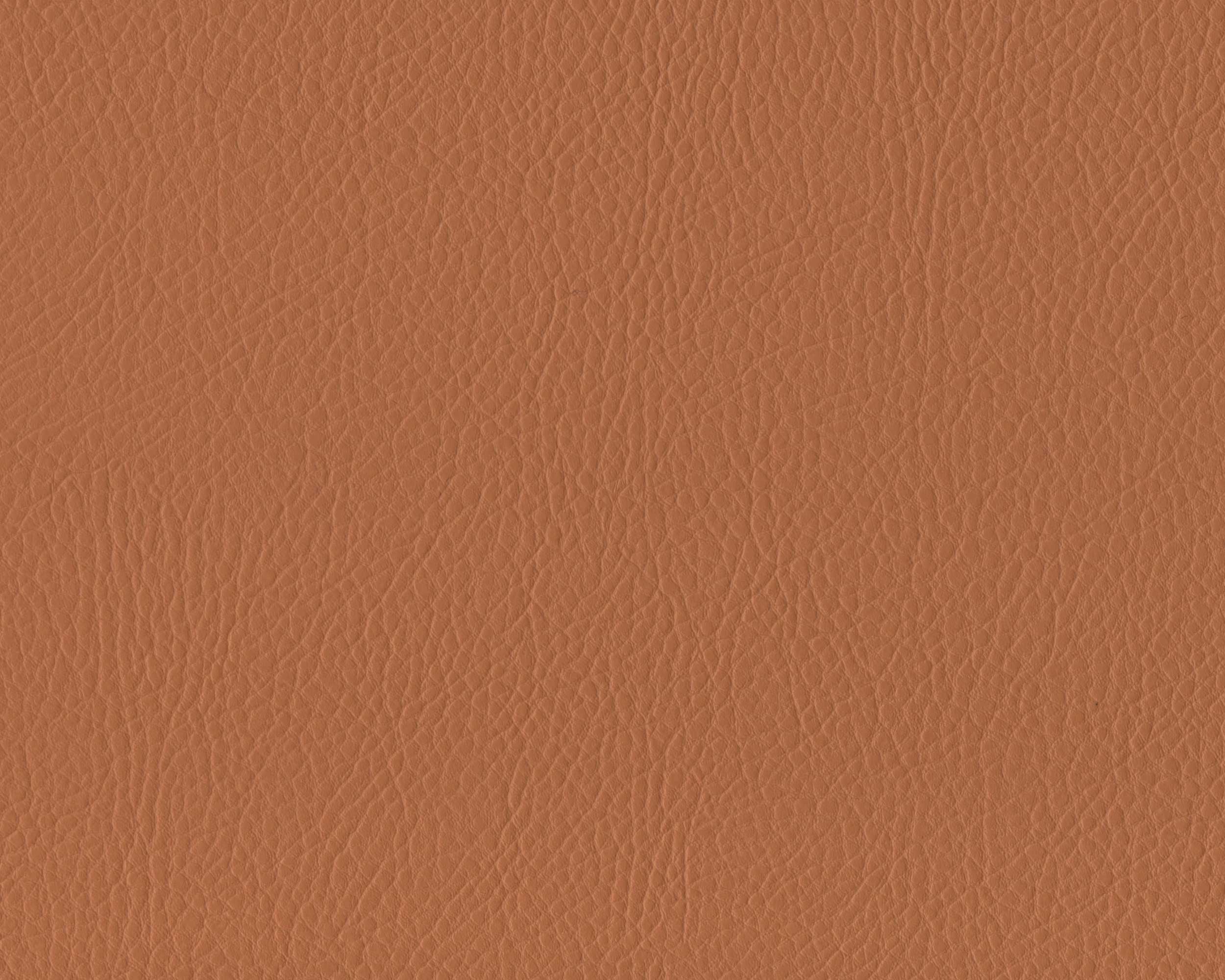 303 | Santa Glory