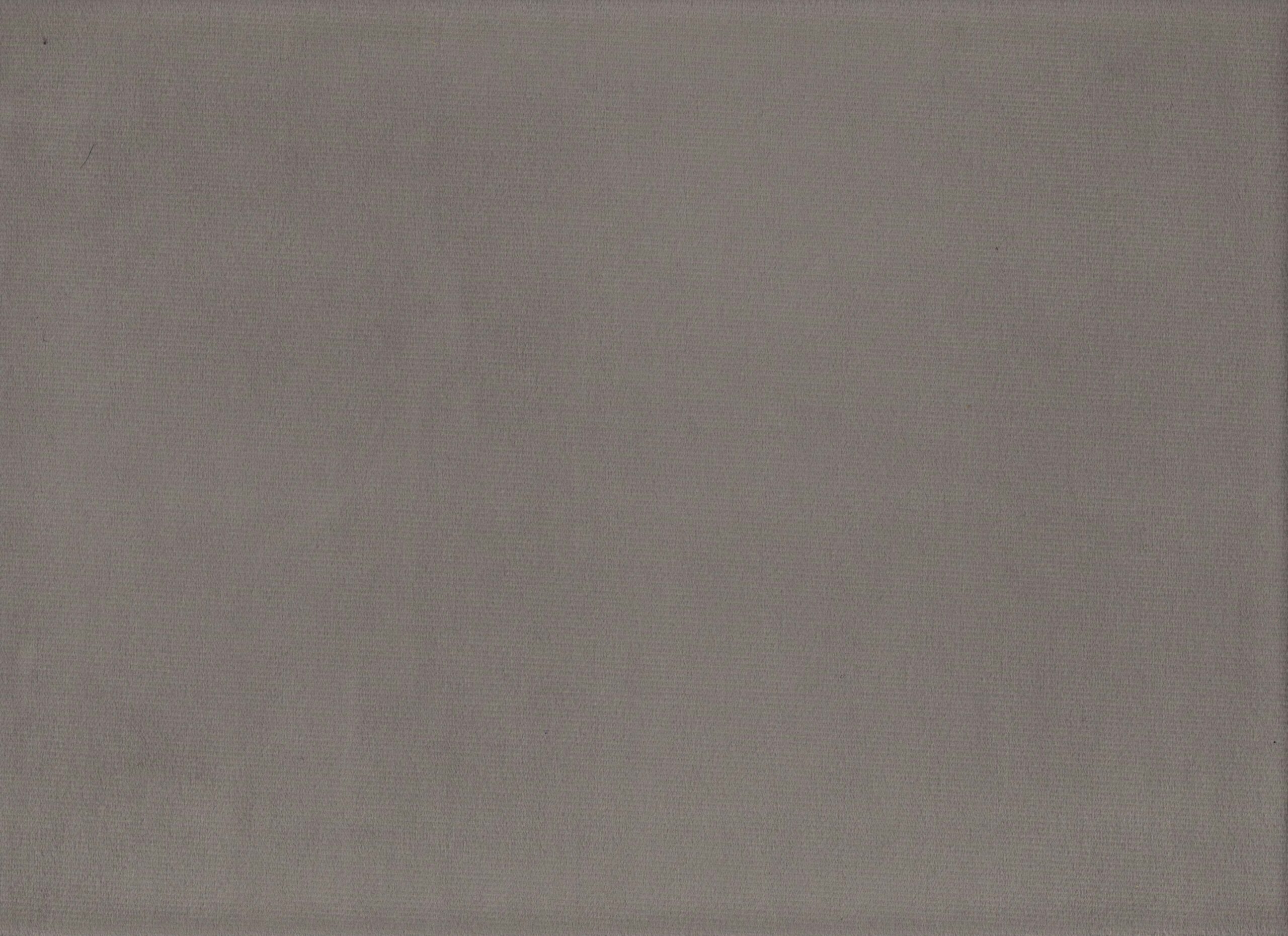 307 | Tiger