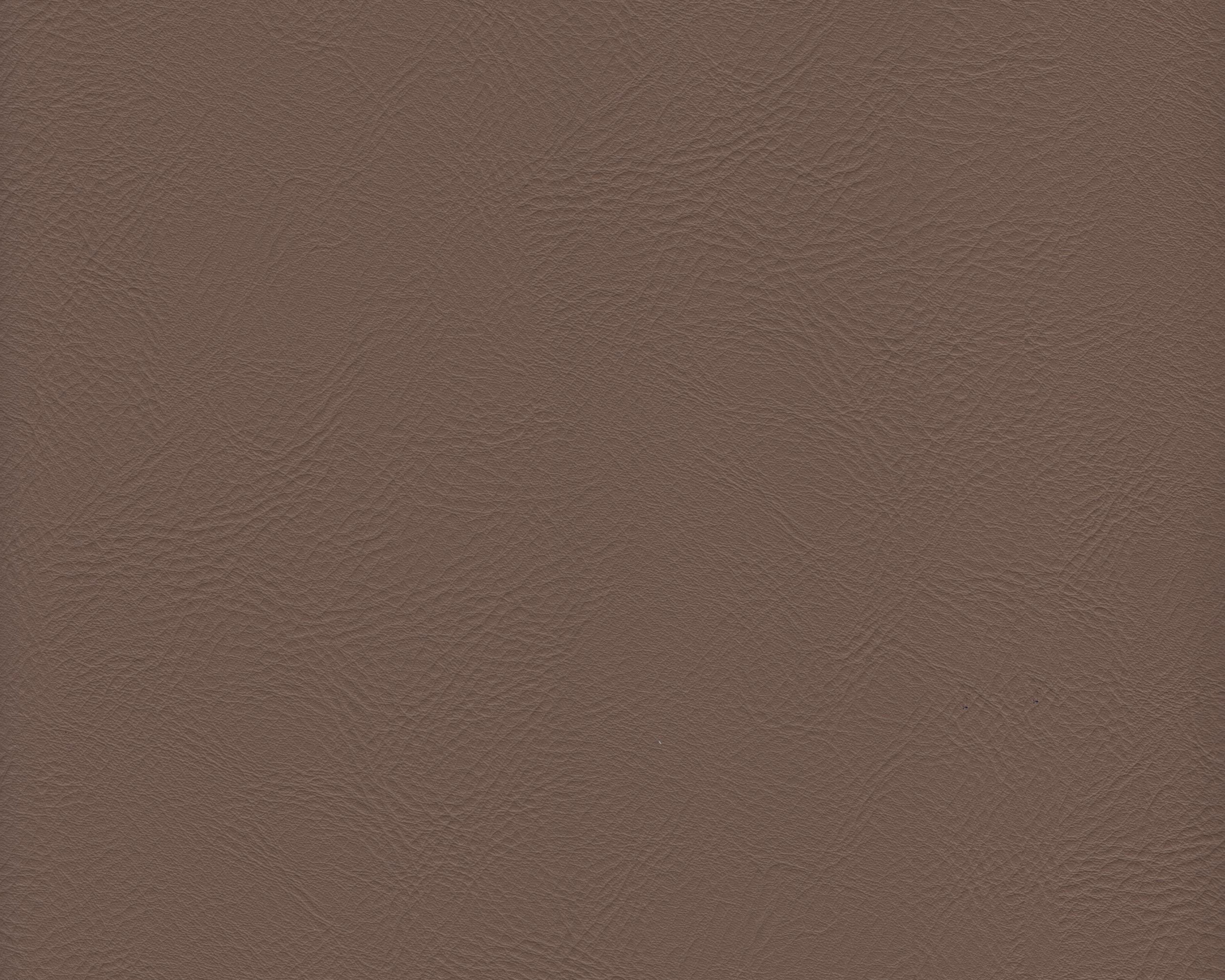 310 | Hector FR