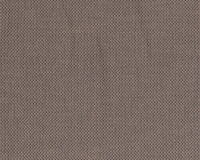 310