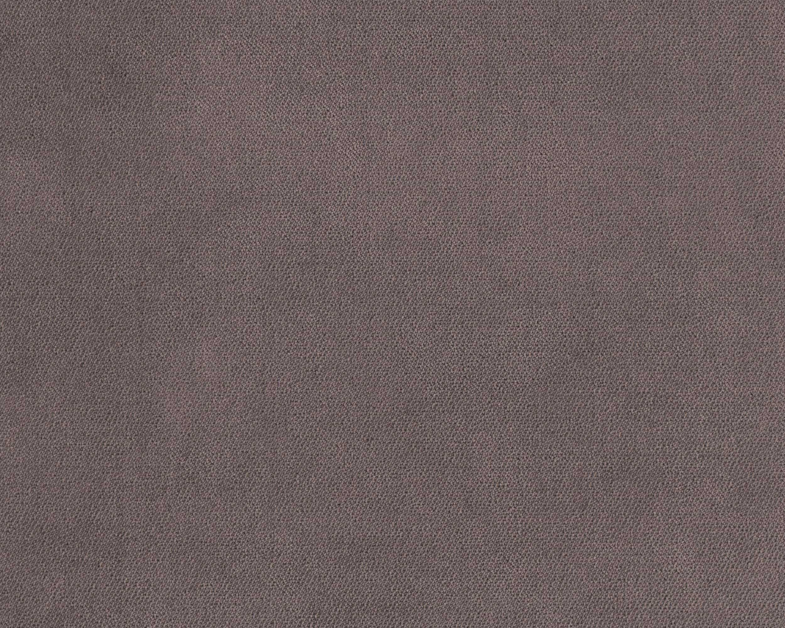 310 | Violet