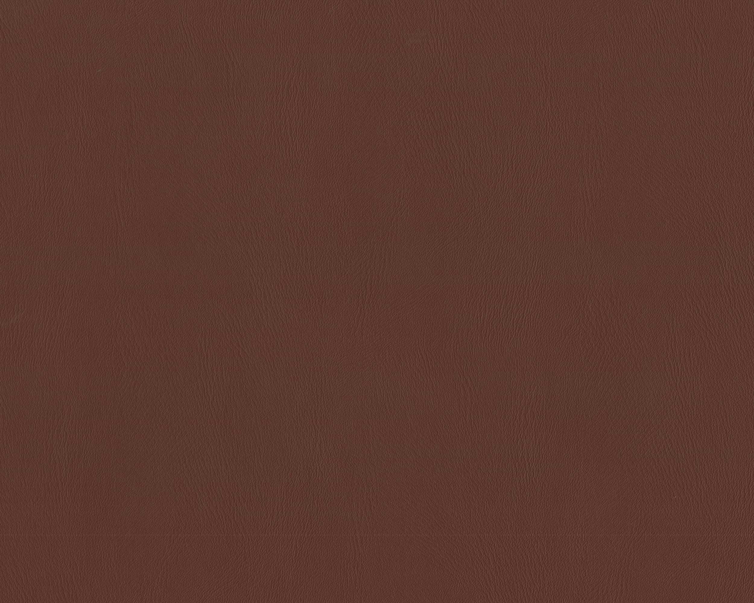 310 | Nona FR