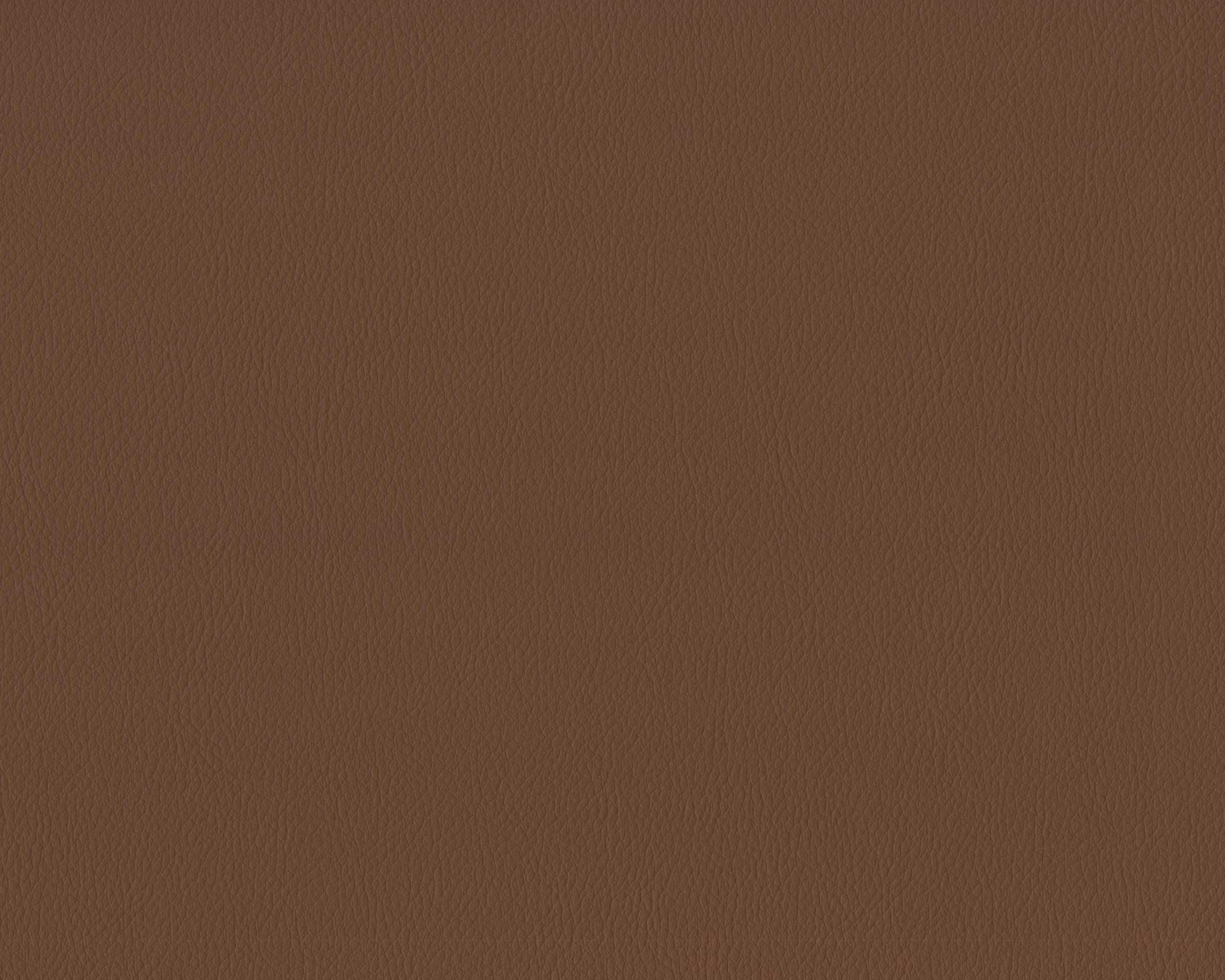 312 | Diana FR