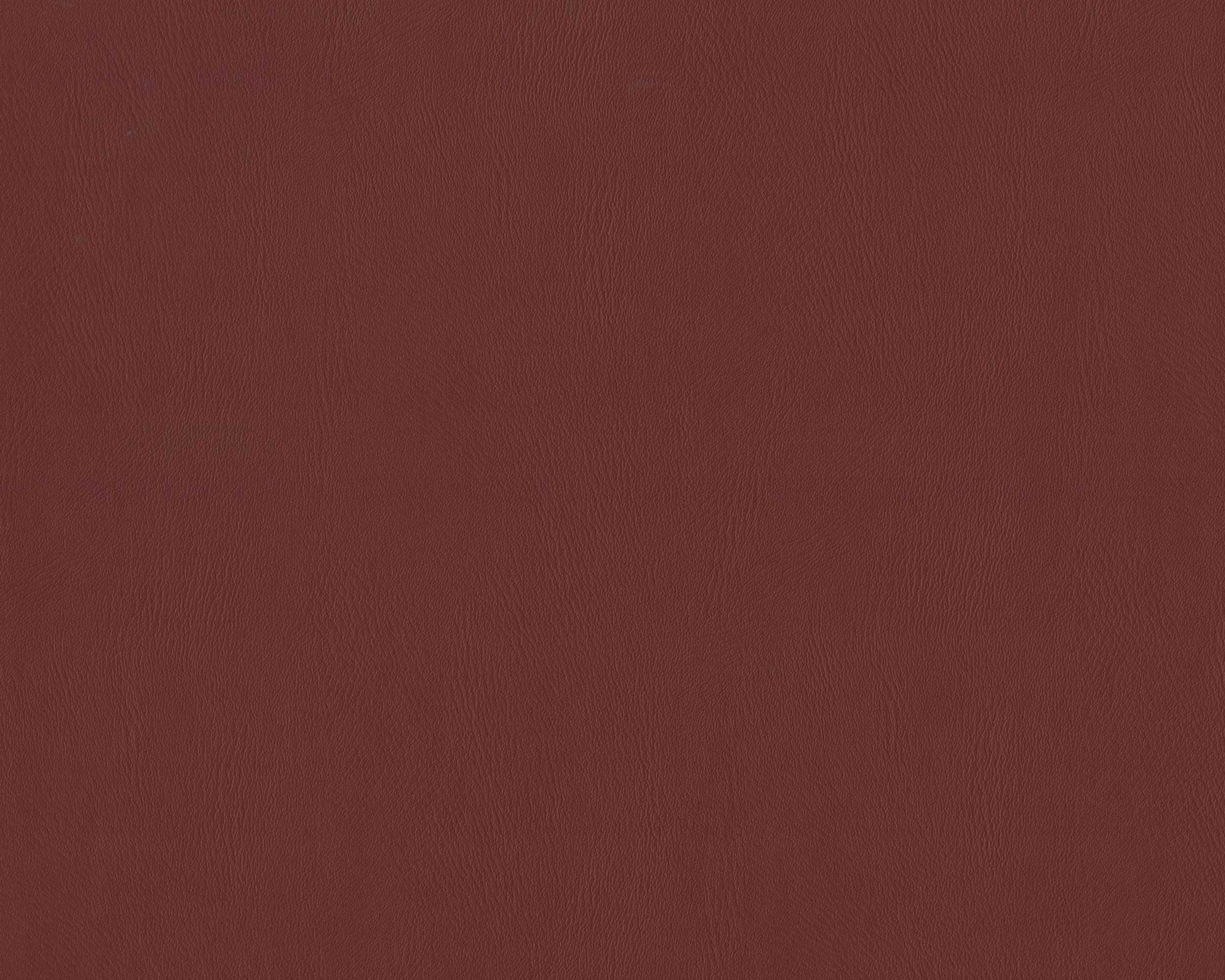 320 | Nona FR