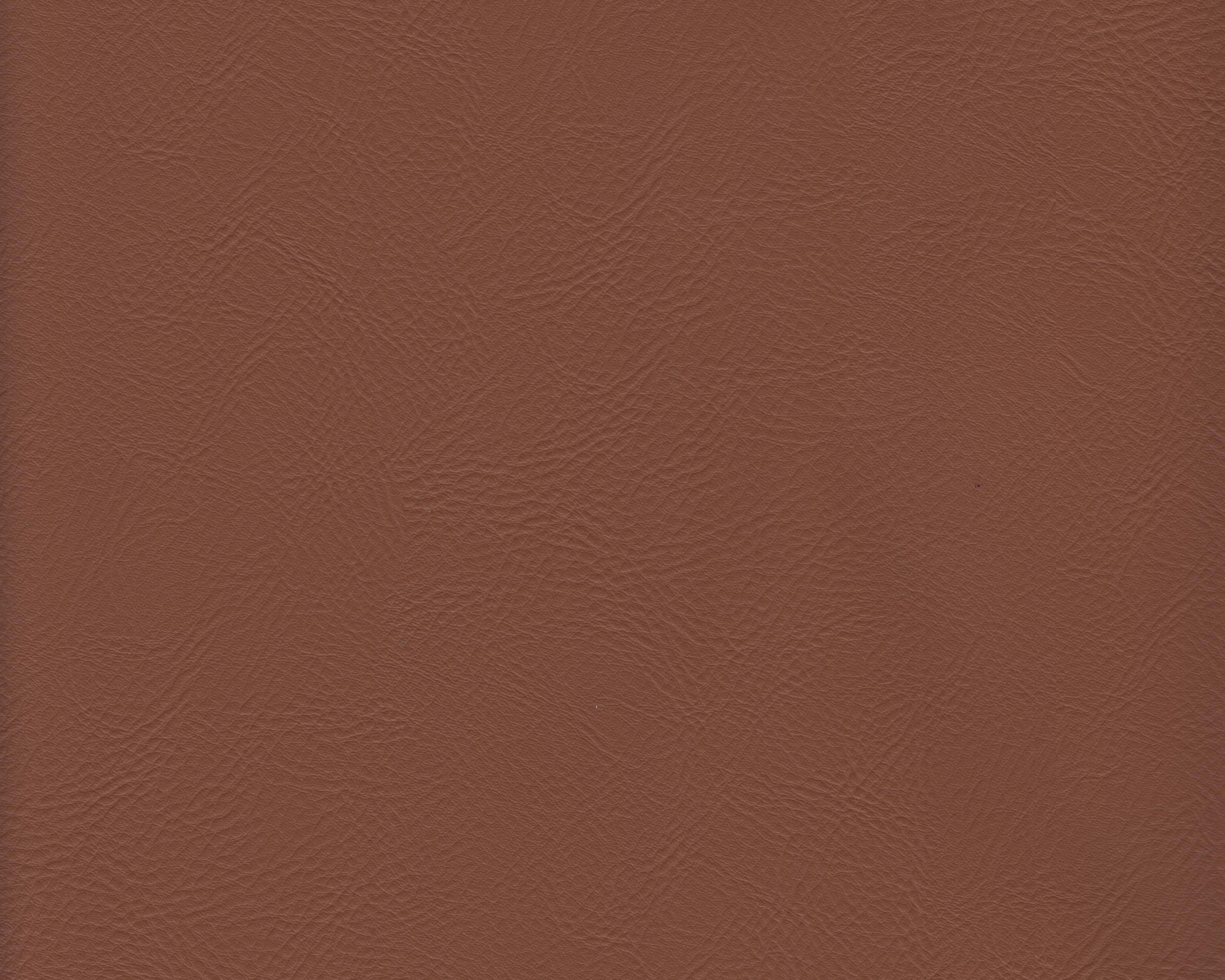 327 | Hector FR