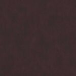 337 | Amazon FR