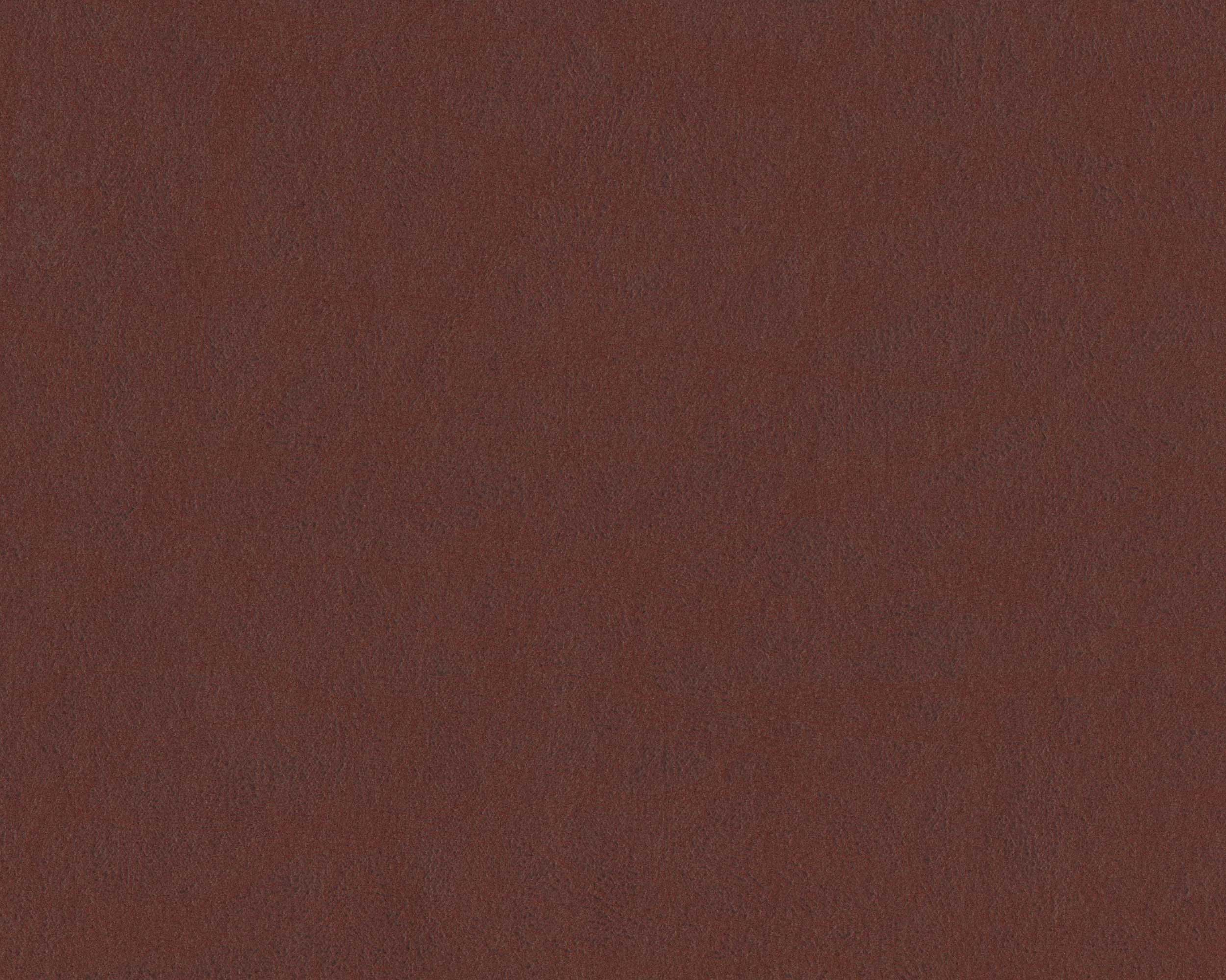 350 | Dora