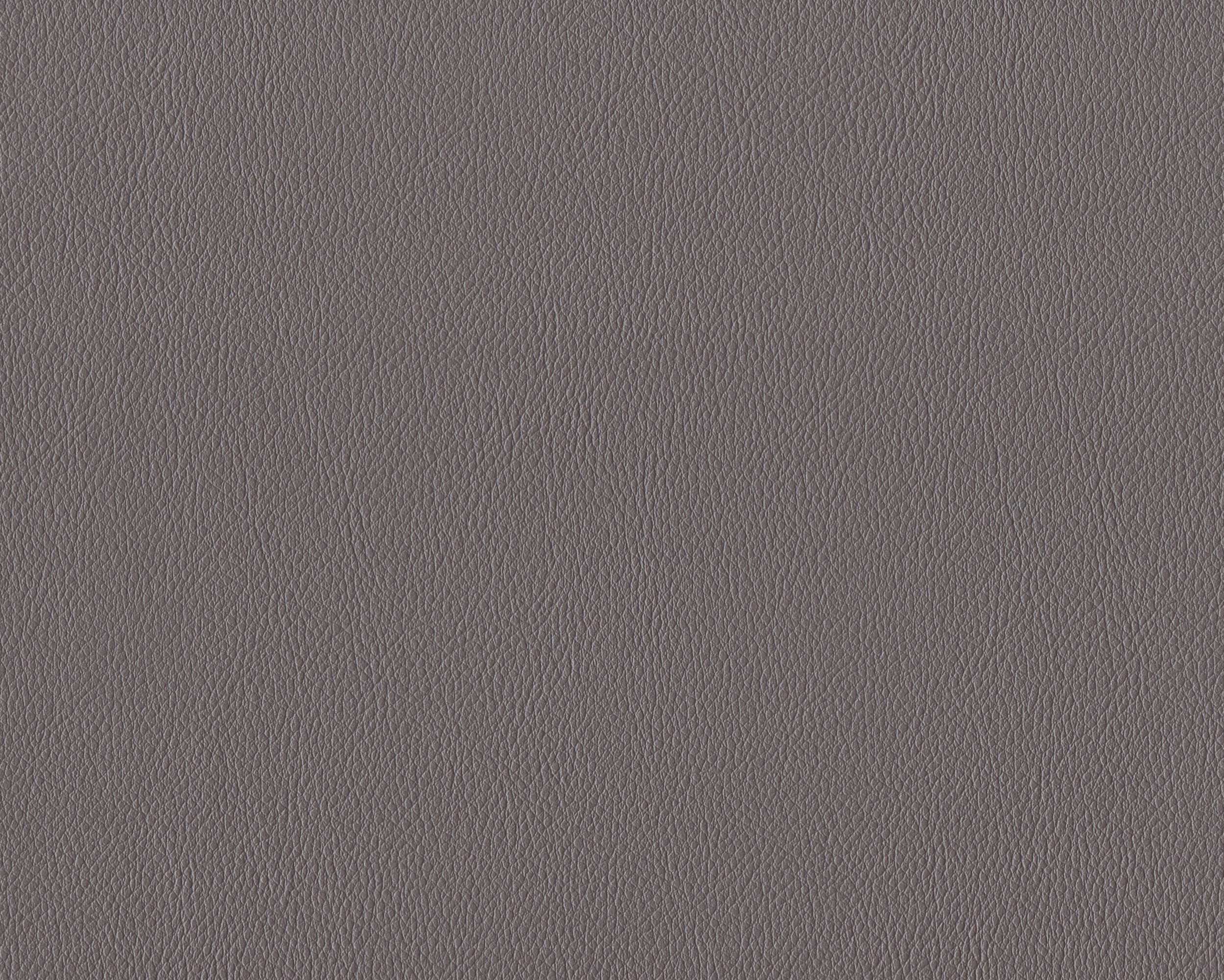 350 | Diana FR