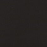 366 | Sin Visage
