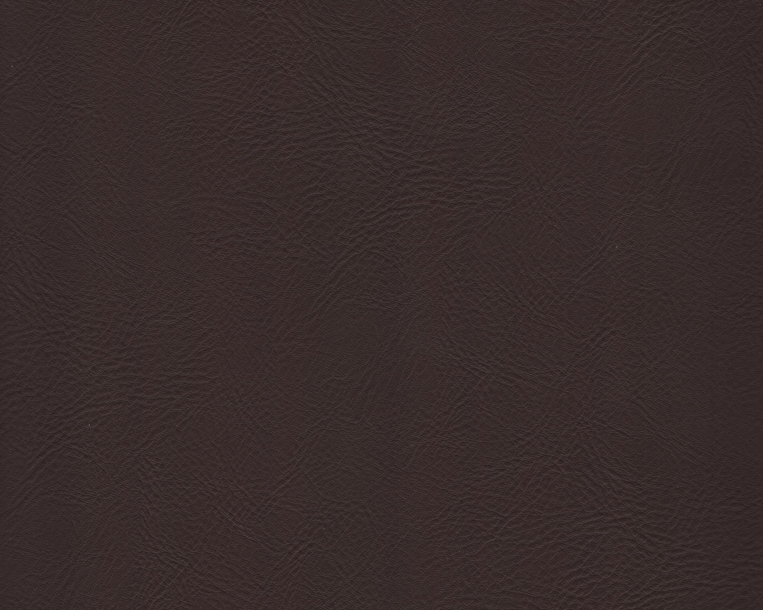 370 | Hector FR