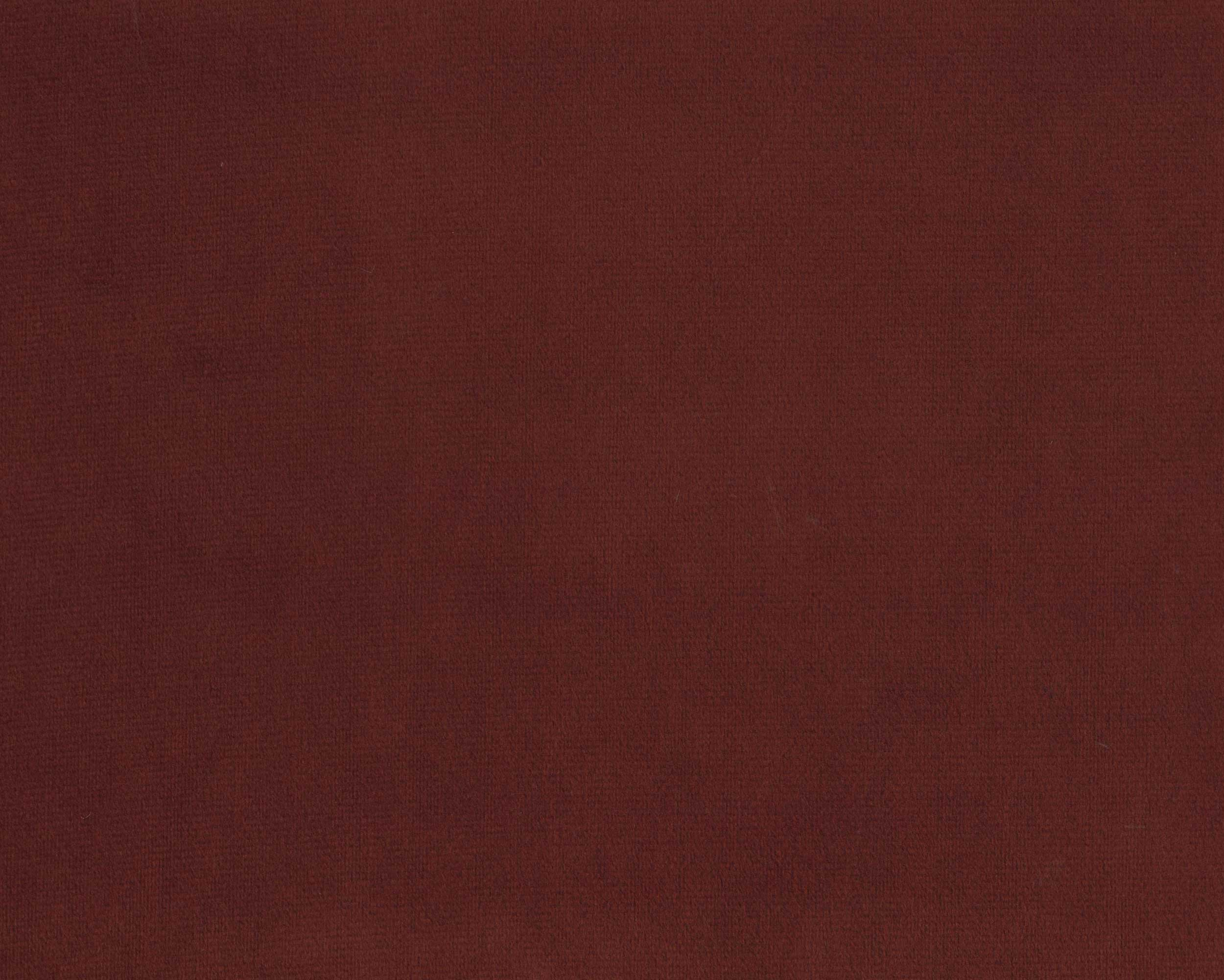 397 | Tiger