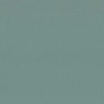 403 | Diana FR
