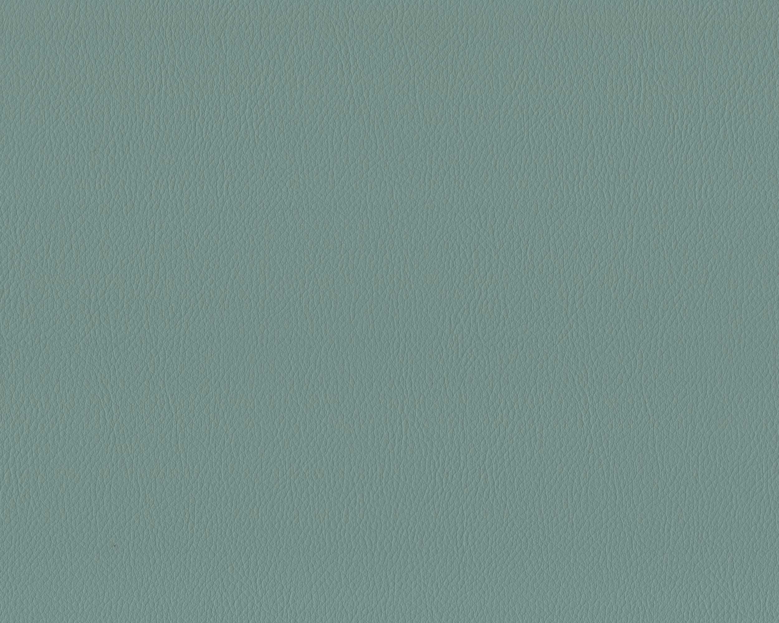 403 | Diana FR