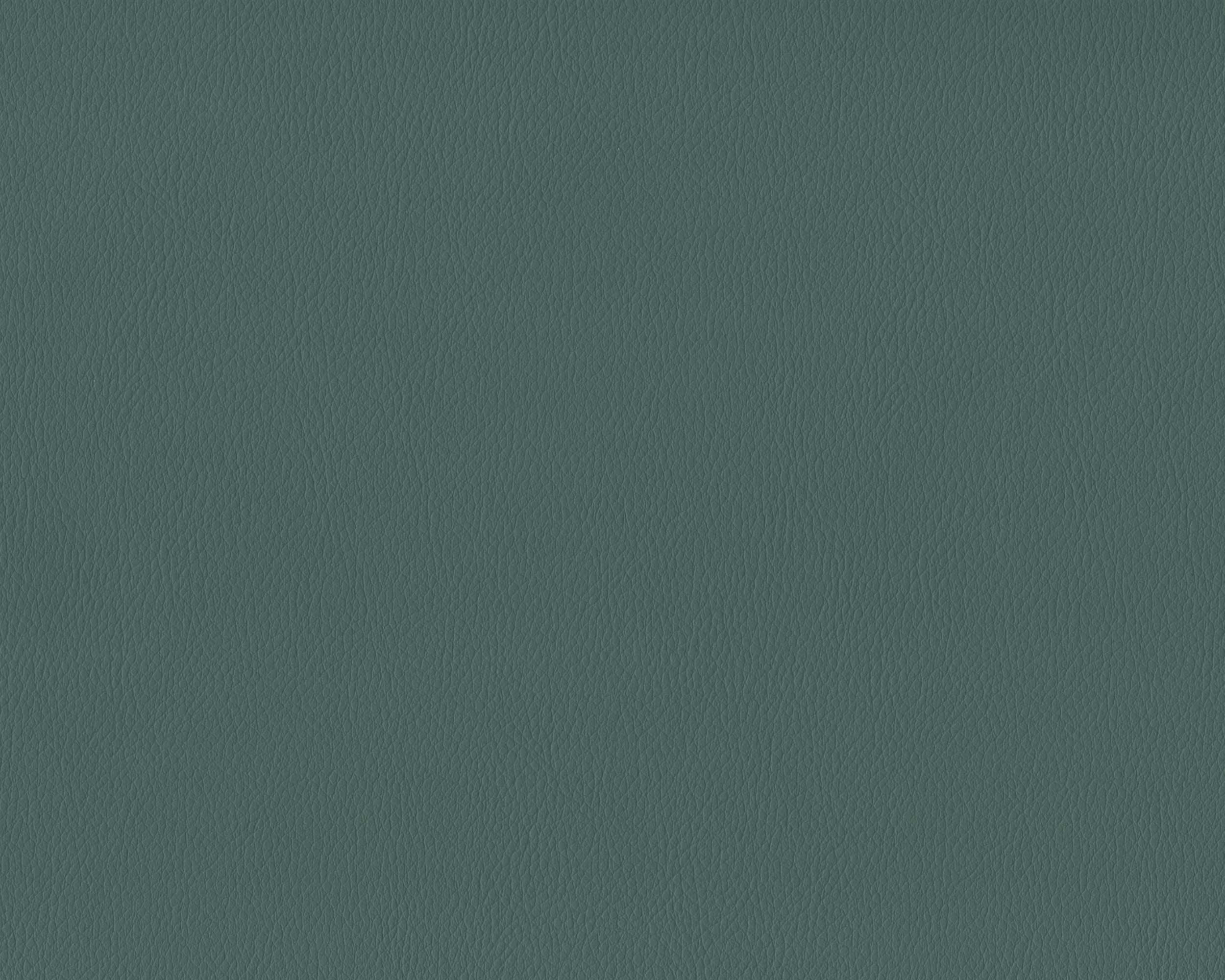 407 | Diana FR
