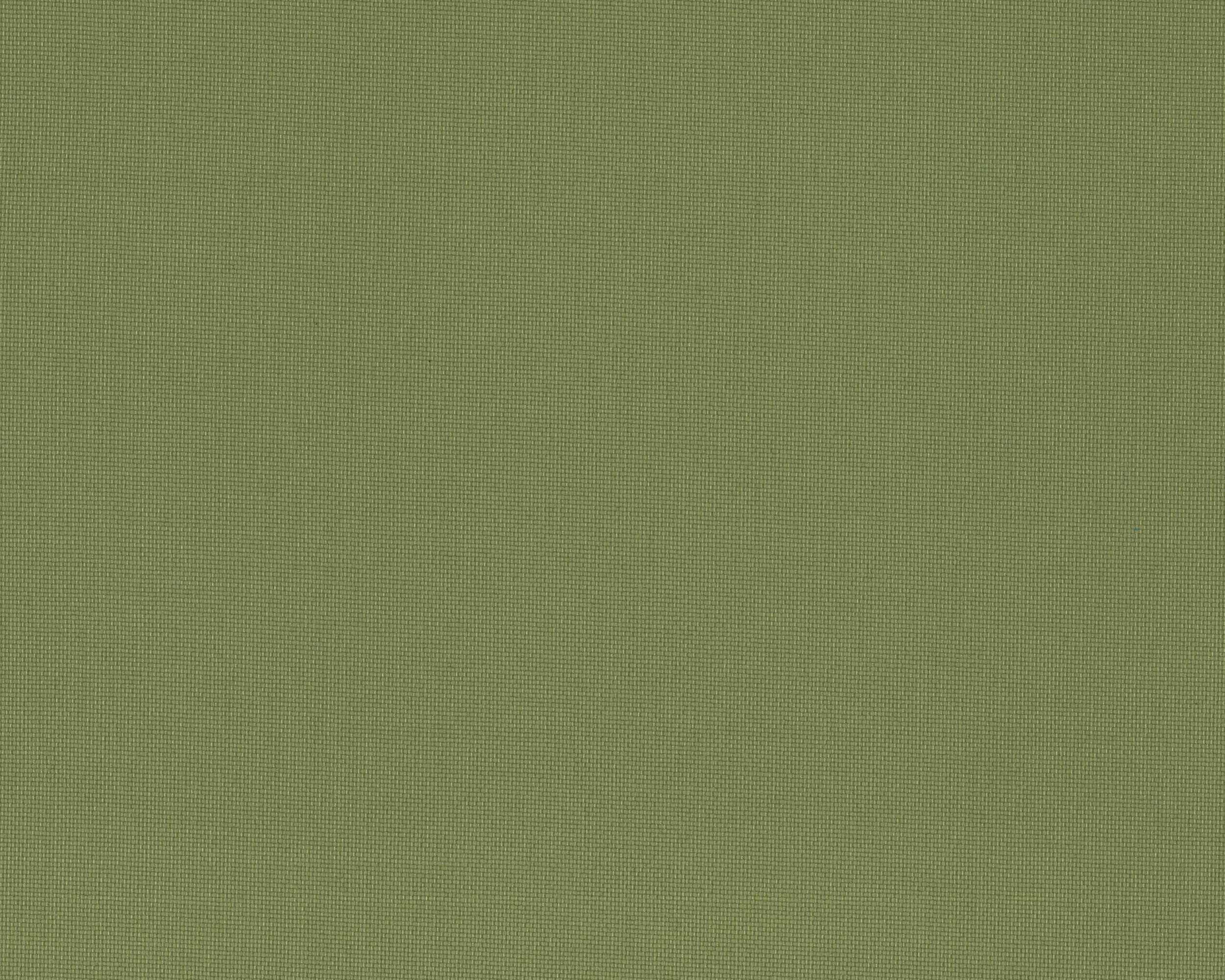 420 | Summer Plain