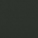 425 | Sin Visage