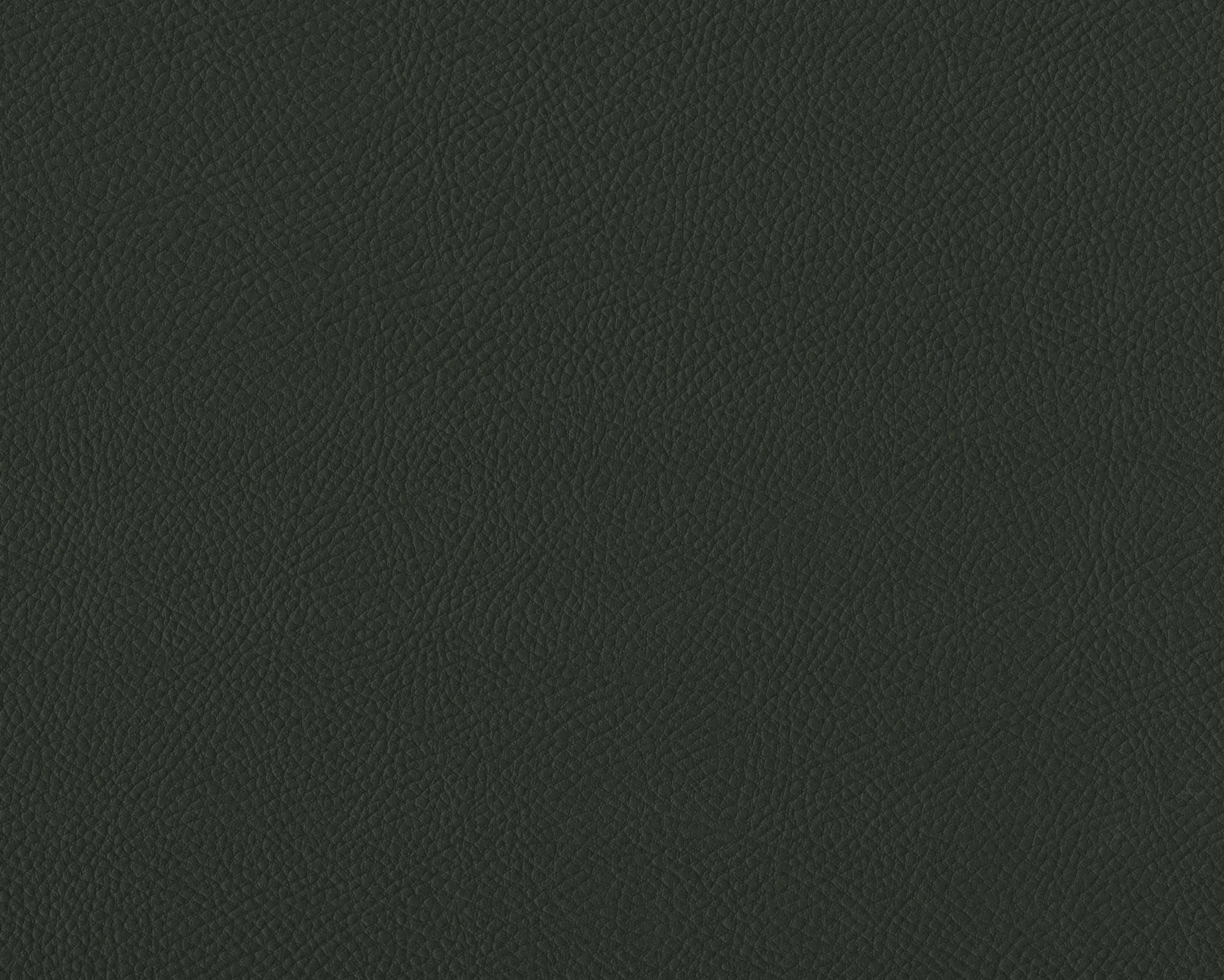 425 | Sin Visage