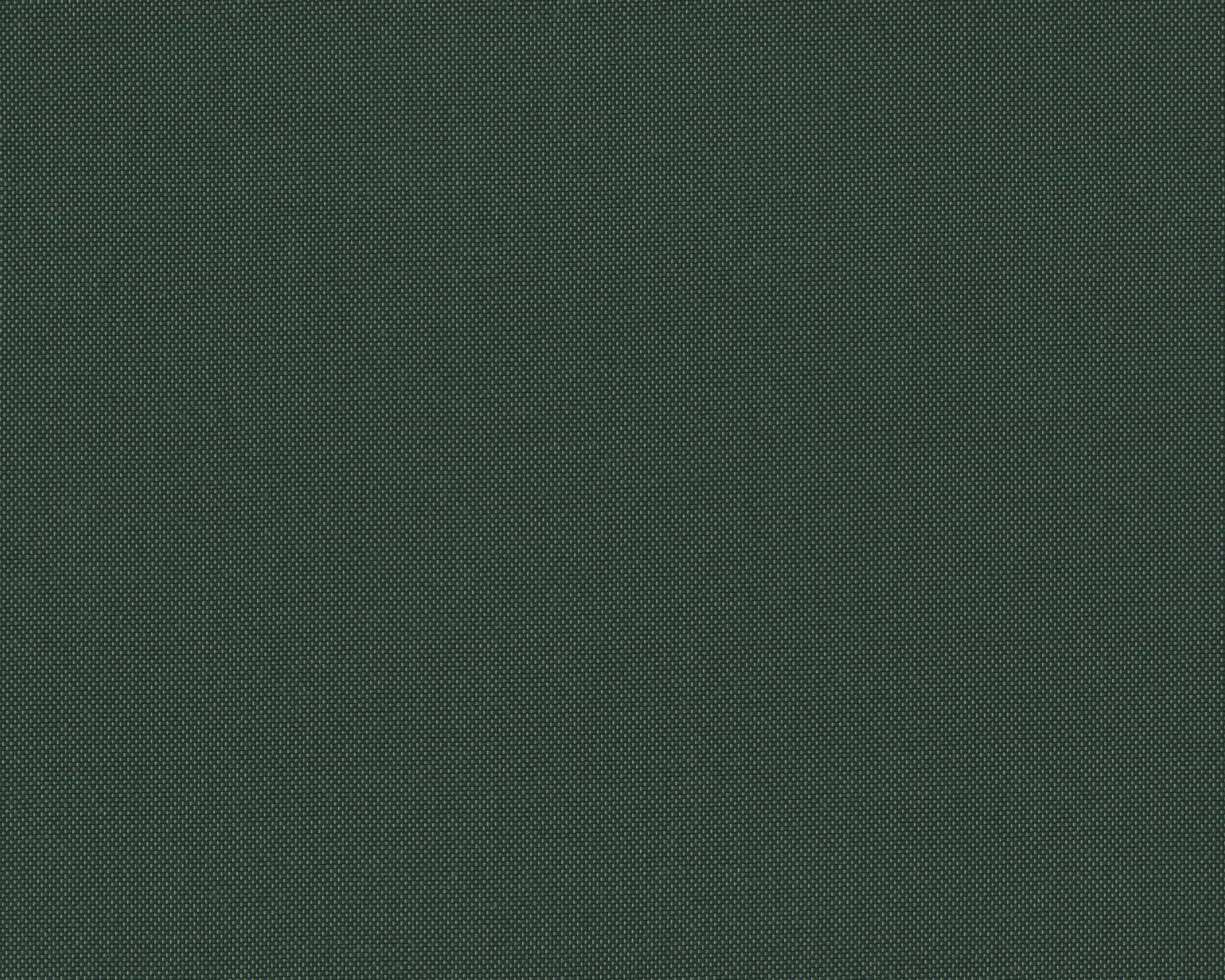 426 | Summer Plain