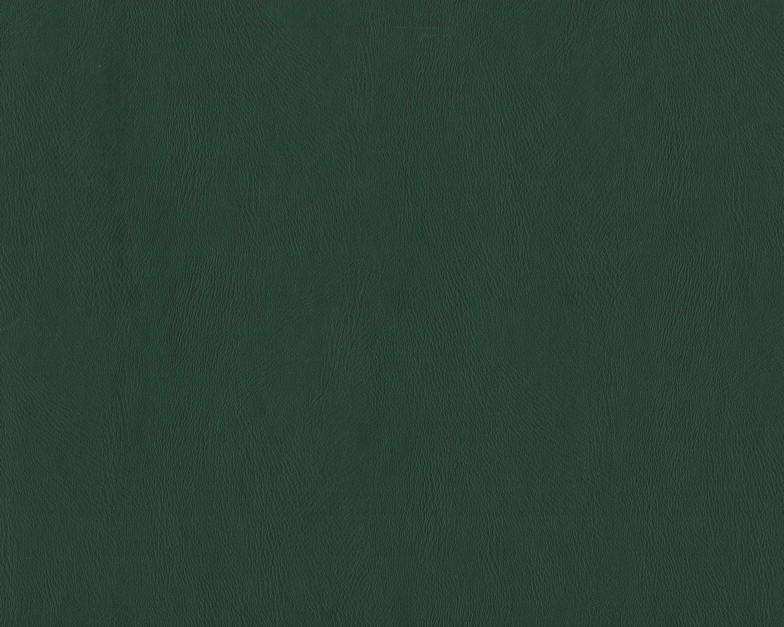 432 | Nona FR