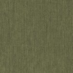 433 | Polo